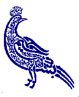 Calligraphic peacock