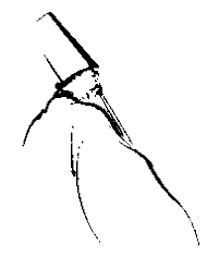The Ney Player; 2K. Illustration by Ingrid Schaar.