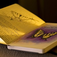 Butterfly-Gratitude-Journal-by-madlyinlove-withlife