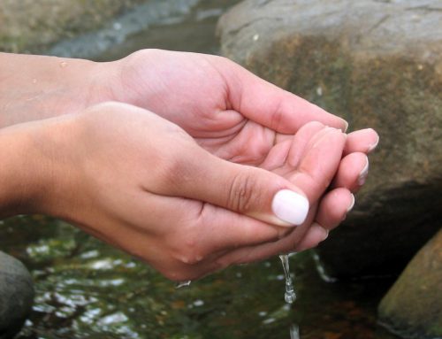 The Subtle Ablution