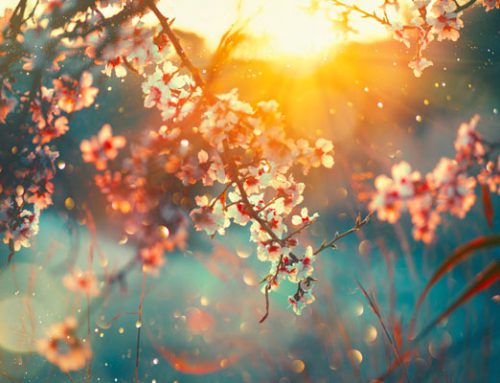 Apr 2020: Being in Community