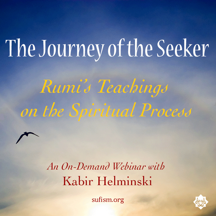 The Journey of the Seeker