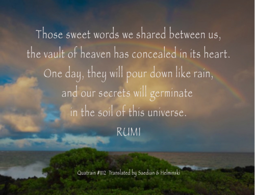 Understanding Rumi… The “Person of Heart” Is the All.